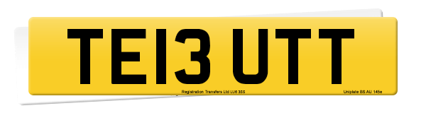 Registration number TE13 UTT
